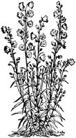 CGA50347.TIF
