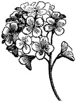 CGA50338.TIF