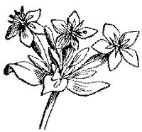 CGA50334.TIF