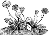 CGA50332.TIF
