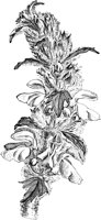 CGA50330.TIF