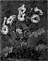 CGA50328.TIF