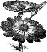 CGA50327.TIF