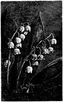 CGA50326.TIF