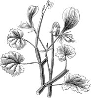 CGA50324.TIF