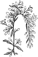 CGA50322.TIF
