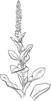 CGA50321.TIF