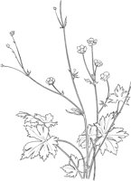 CGA50319.TIF