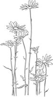 CGA50318.TIF