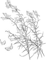 CGA50316.TIF
