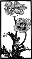 CGA50306.TIF