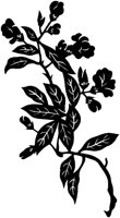 CGA50299.TIF