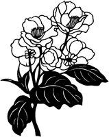 CGA50295.TIF