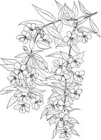 CGA50288.TIF