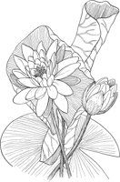CGA50281.TIF