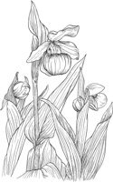 CGA50271.TIF