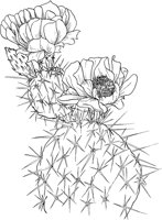 CGA50269.TIF