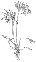 CGA50266.TIF