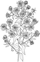CGA50265.TIF
