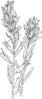 CGA50261.TIF