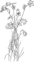 CGA50260.TIF
