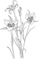 CGA50259.TIF