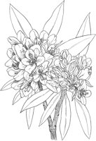 CGA50258.TIF