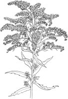 CGA50257.TIF