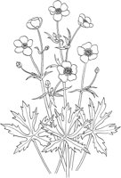 CGA50249.TIF