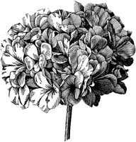 CGA50236.TIF