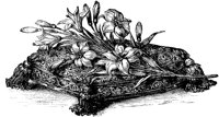 CGA50235.TIF
