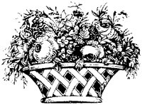 CGA50234.TIF