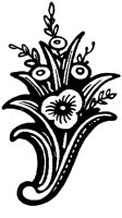 CGA50229.TIF