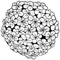 CGA50224.TIF