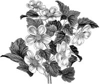 CGA50220.TIF