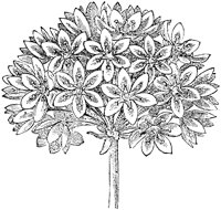 CGA50218.TIF