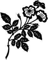 CGA50212.TIF