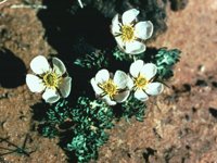CGA50196.JPG