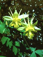 CGA50194.JPG