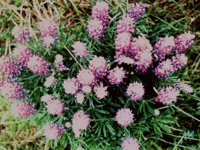 CGA50190.JPG