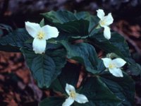 CGA50089.JPG