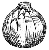 CGA50041.TIF
