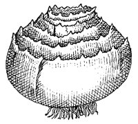 CGA50040.TIF