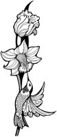 CGA50020.TIF