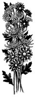 CGA50018.TIF