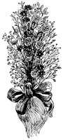 CGA50017.TIF