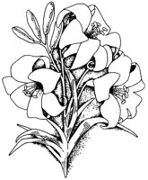 CGA50016.TIF