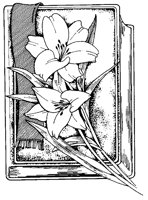 CGA50015.TIF