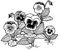 CGA50013.TIF