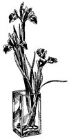 CGA50011.TIF